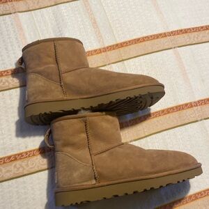 Ugg short boots size 8. Never worn. Perfect condition.